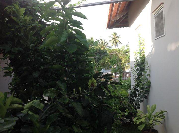 Manh Duyen Garden Homestay Phu Quoc Exterior photo